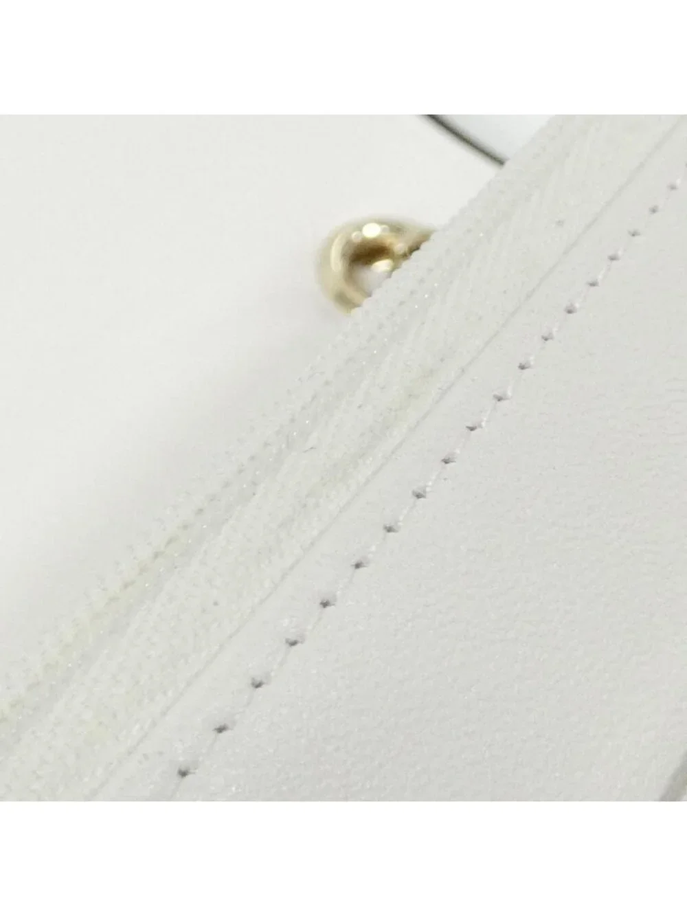 Chanel Chain Wallet Shoulder Bag